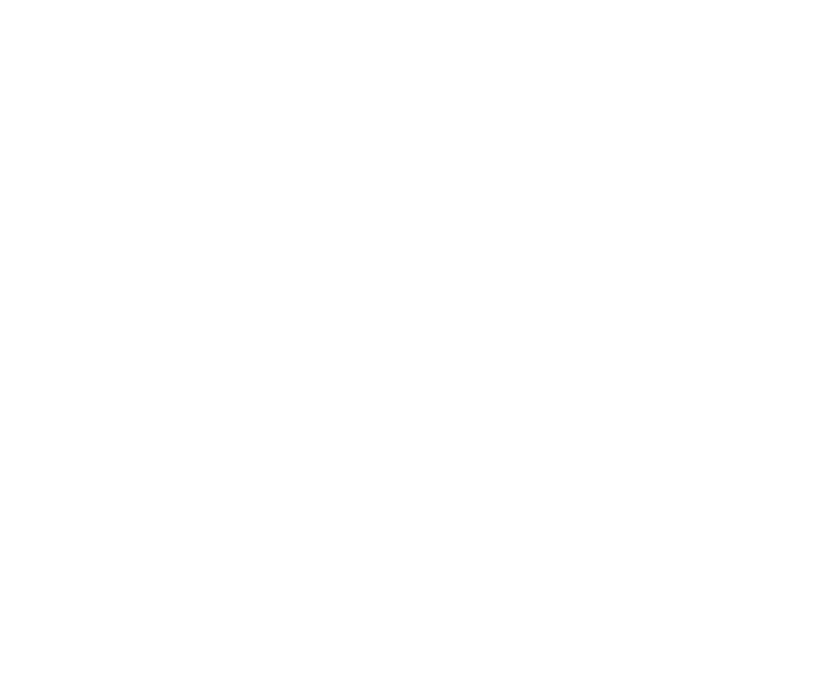 Mehr zum luxemburgischen elektronischen Personalausweis (eID)