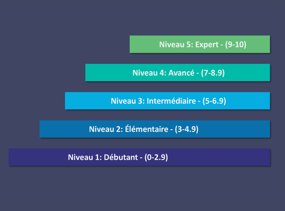 Niveau 5: expert (9-10), Niveau 4: avancé (7-8.9), Niveau 3: Intermédiaire (5-6.9), Niveau 2: élementaire (3-4.9), Niveau 1: Débutant (0-2.9)